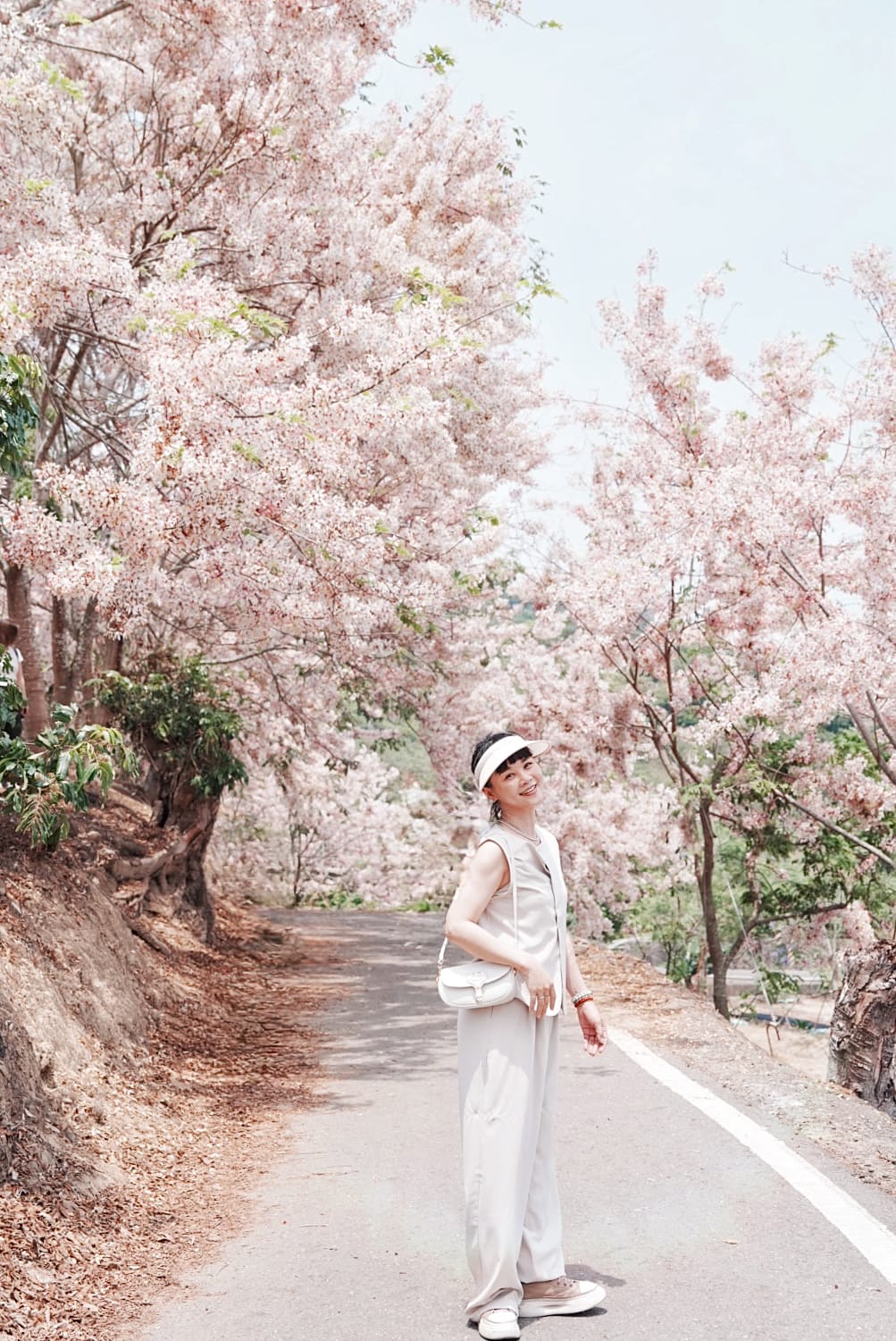花旗木台南玥園思親步道40.JPG 花旗木台南玥園思親步道40.JPG