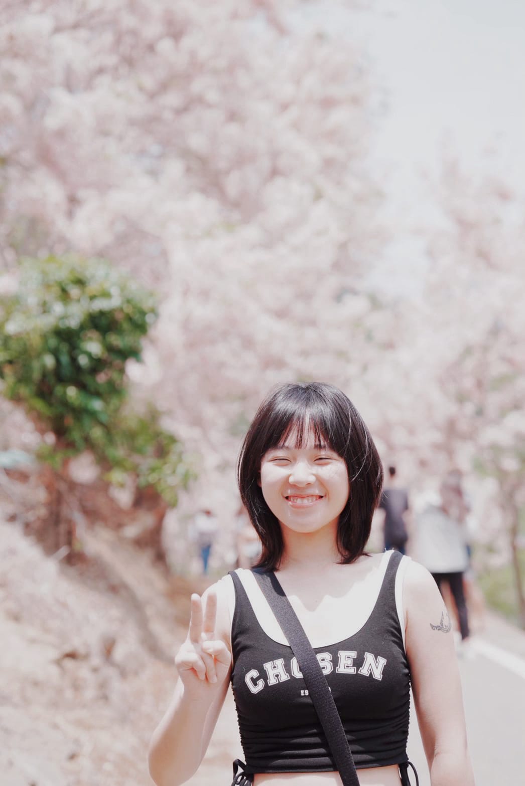 花旗木台南玥園思親步道10.JPG 花旗木台南玥園思親步道10.JPG