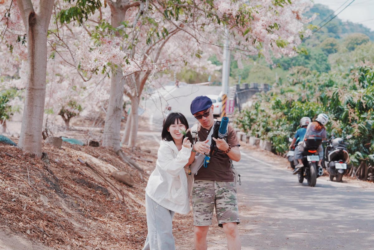 花旗木台南玥園思親步道9.JPG 花旗木台南玥園思親步道9.JPG