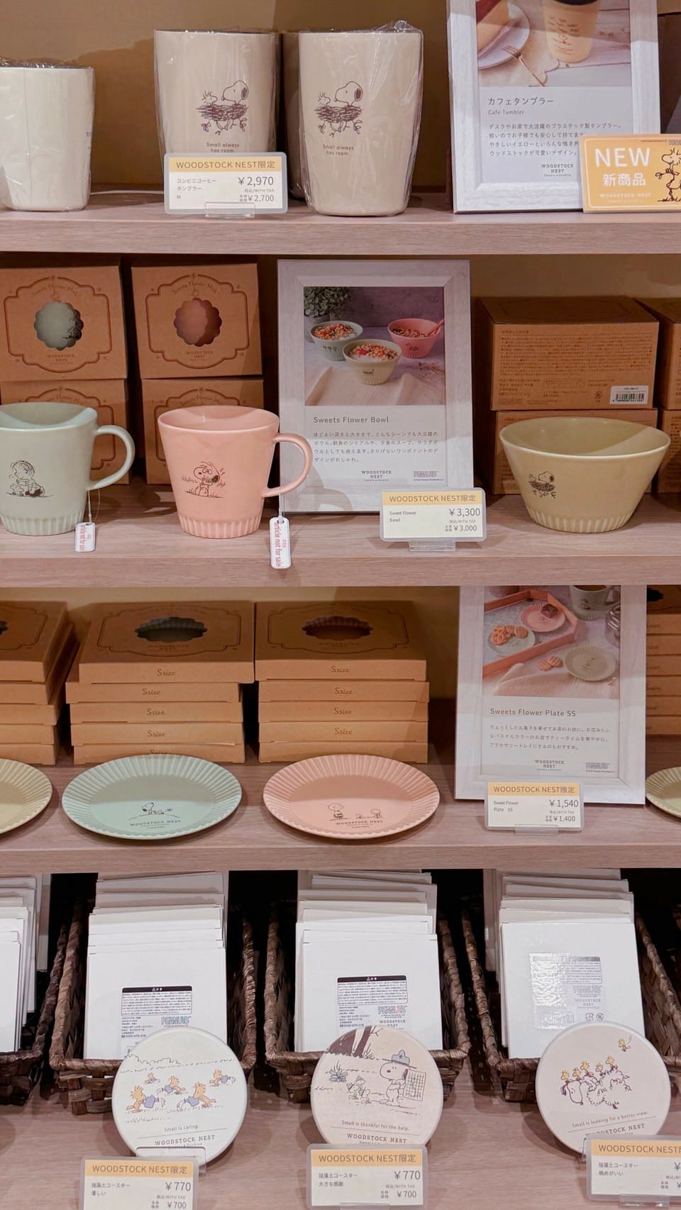 LINE_ALBUM_史_250522_18.jpg