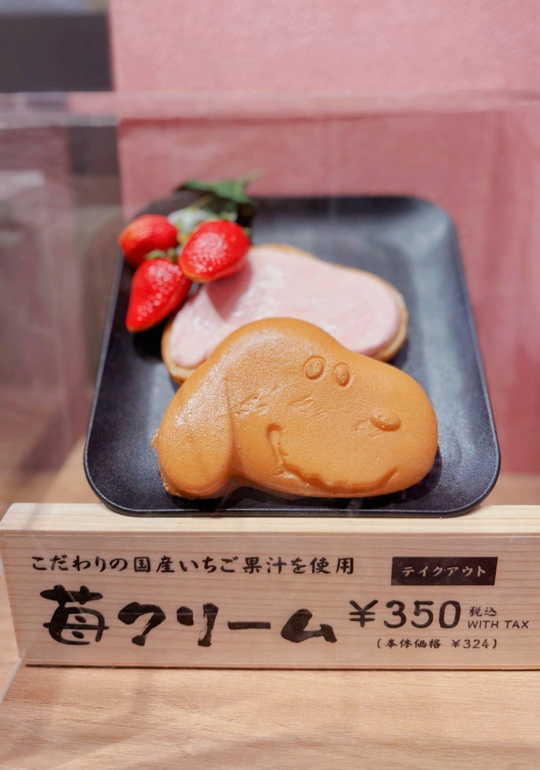 LINE_ALBUM_史_250522_5.jpg