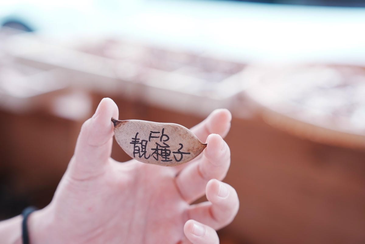 (未設定標題) (未設定標題)