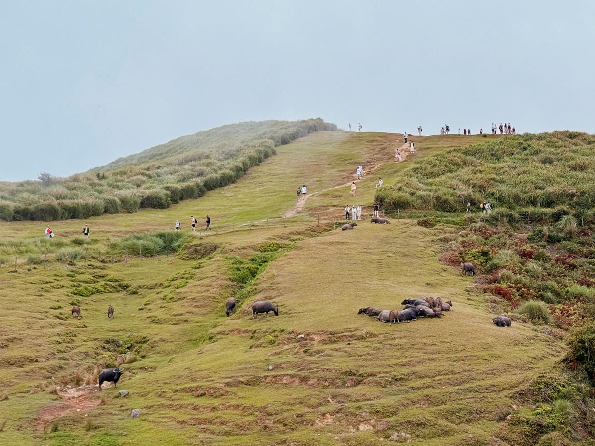 陽明山