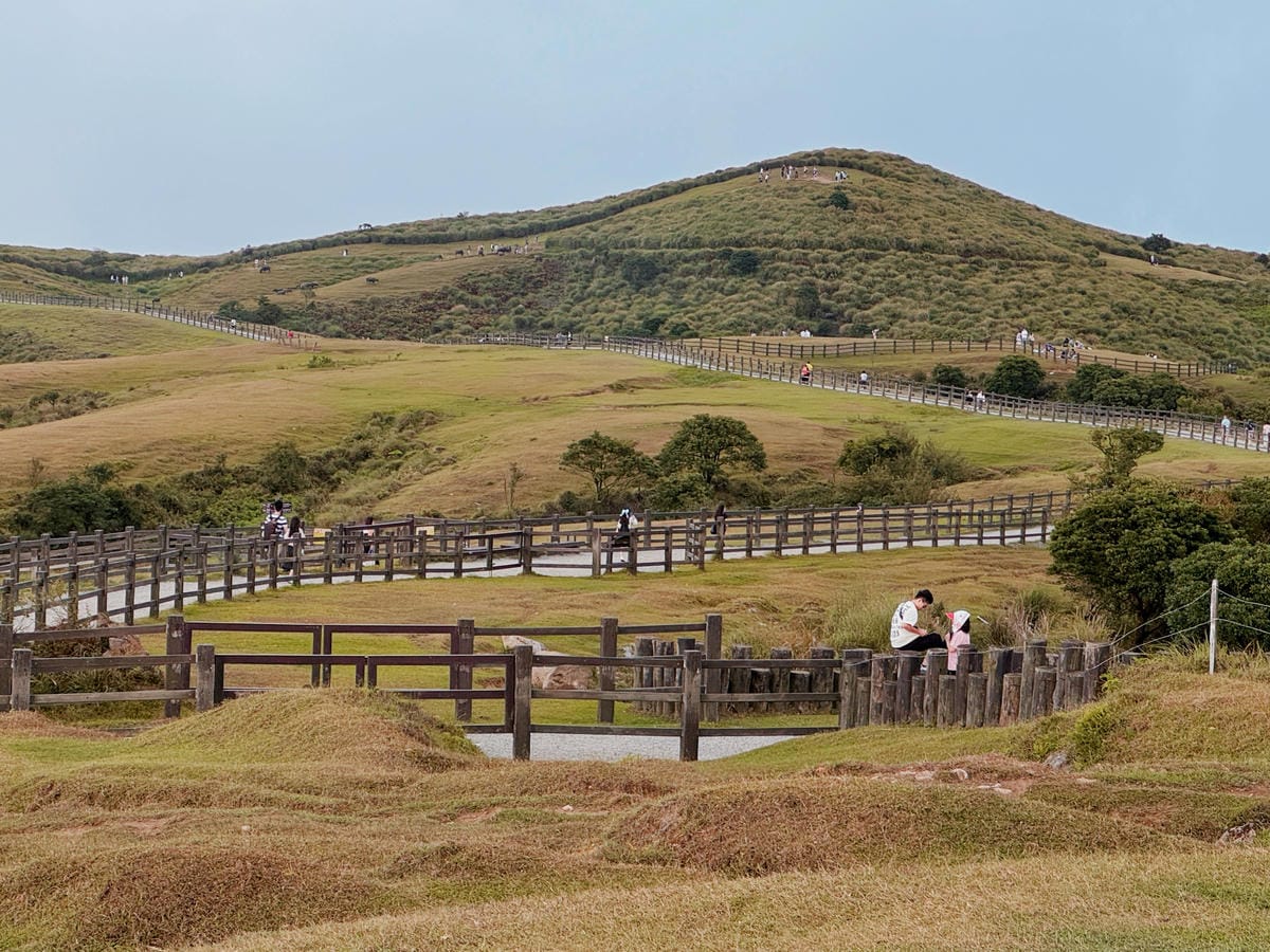 陽明山