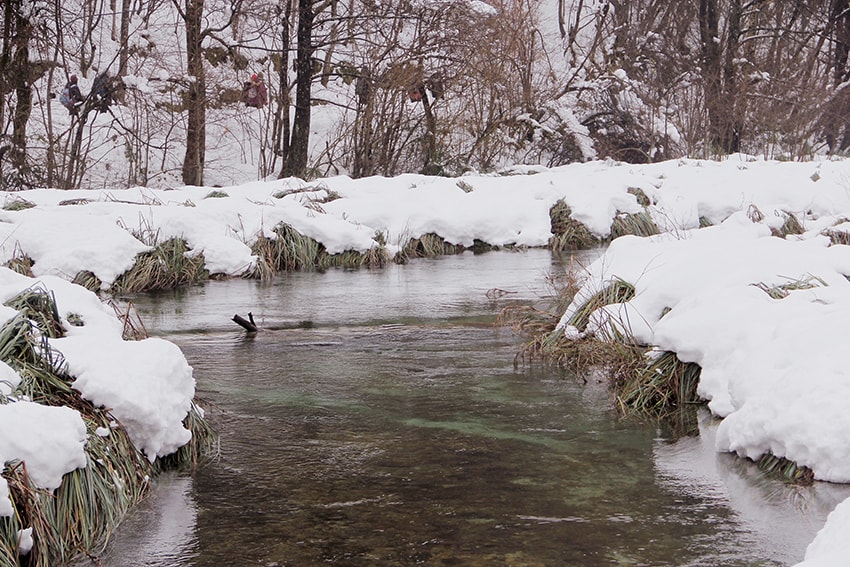 克羅埃西亞幾月最漂亮?冬季十六湖國家公園|雪地山林中的浪漫健行 - 第6張圖 克羅埃西亞幾月最漂亮?冬季十六湖國家公園|雪地山林中的浪漫健行