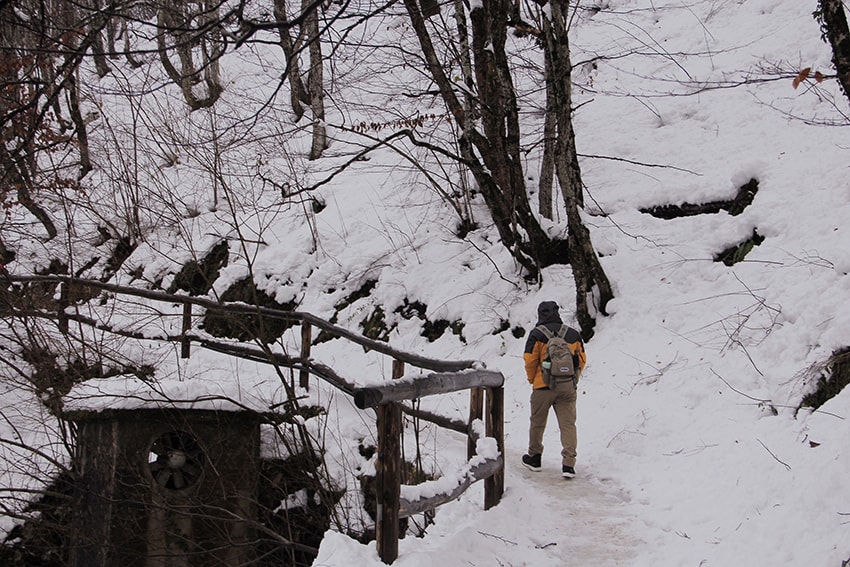 克羅埃西亞幾月最漂亮?冬季十六湖國家公園|雪地山林中的浪漫健行 - 第25張圖 克羅埃西亞幾月最漂亮?冬季十六湖國家公園|雪地山林中的浪漫健行