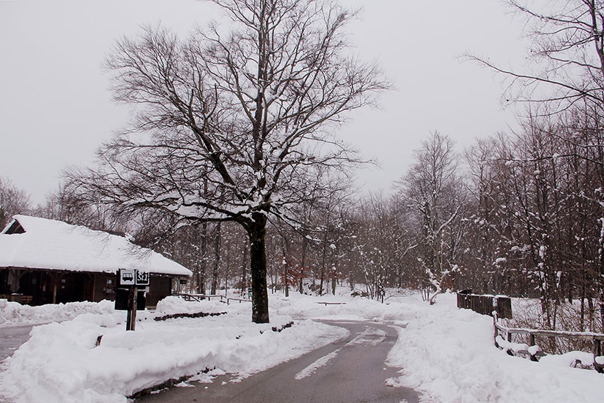 克羅埃西亞幾月最漂亮?冬季十六湖國家公園|雪地山林中的浪漫健行 - 第9張圖 克羅埃西亞幾月最漂亮?冬季十六湖國家公園|雪地山林中的浪漫健行