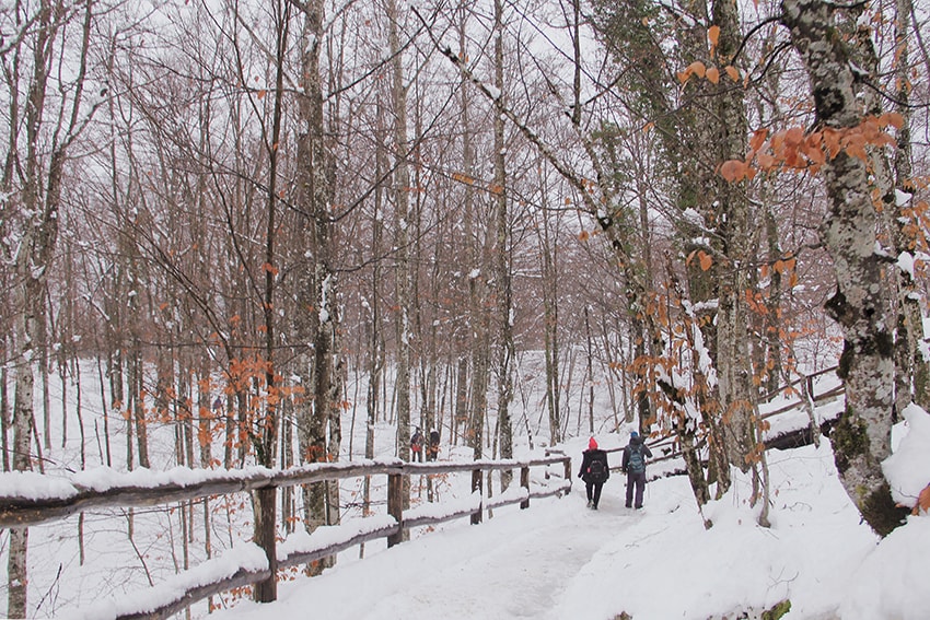 克羅埃西亞幾月最漂亮?冬季十六湖國家公園|雪地山林中的浪漫健行 - 第16張圖 克羅埃西亞幾月最漂亮?冬季十六湖國家公園|雪地山林中的浪漫健行