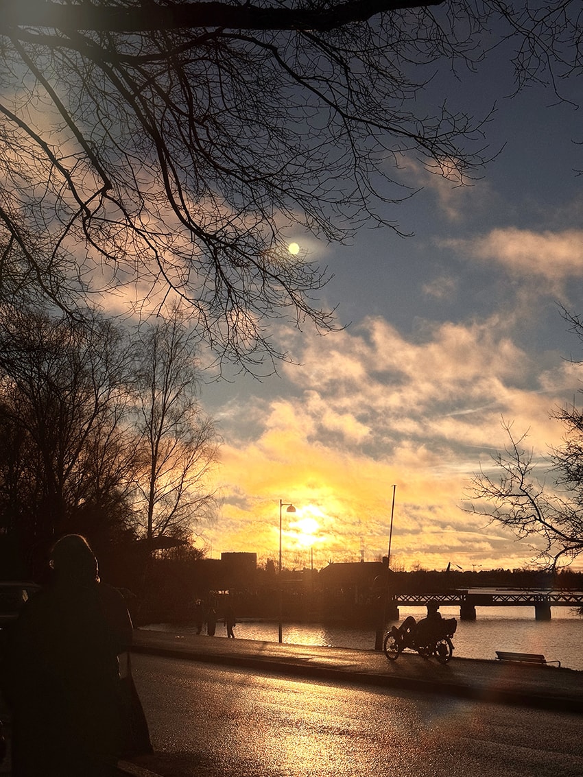 芬蘭赫爾辛基|夕陽下的西貝流士紀念碑,北歐最浪漫的音樂地標 - 第1張圖 芬蘭赫爾辛基|夕陽下的西貝流士紀念碑,北歐最浪漫的音樂地標