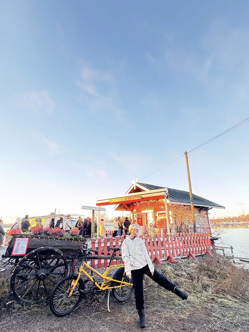 芬蘭赫爾辛基|夕陽下的西貝流士紀念碑,北歐最浪漫的音樂地標 - 第17張圖 芬蘭赫爾辛基|夕陽下的西貝流士紀念碑,北歐最浪漫的音樂地標