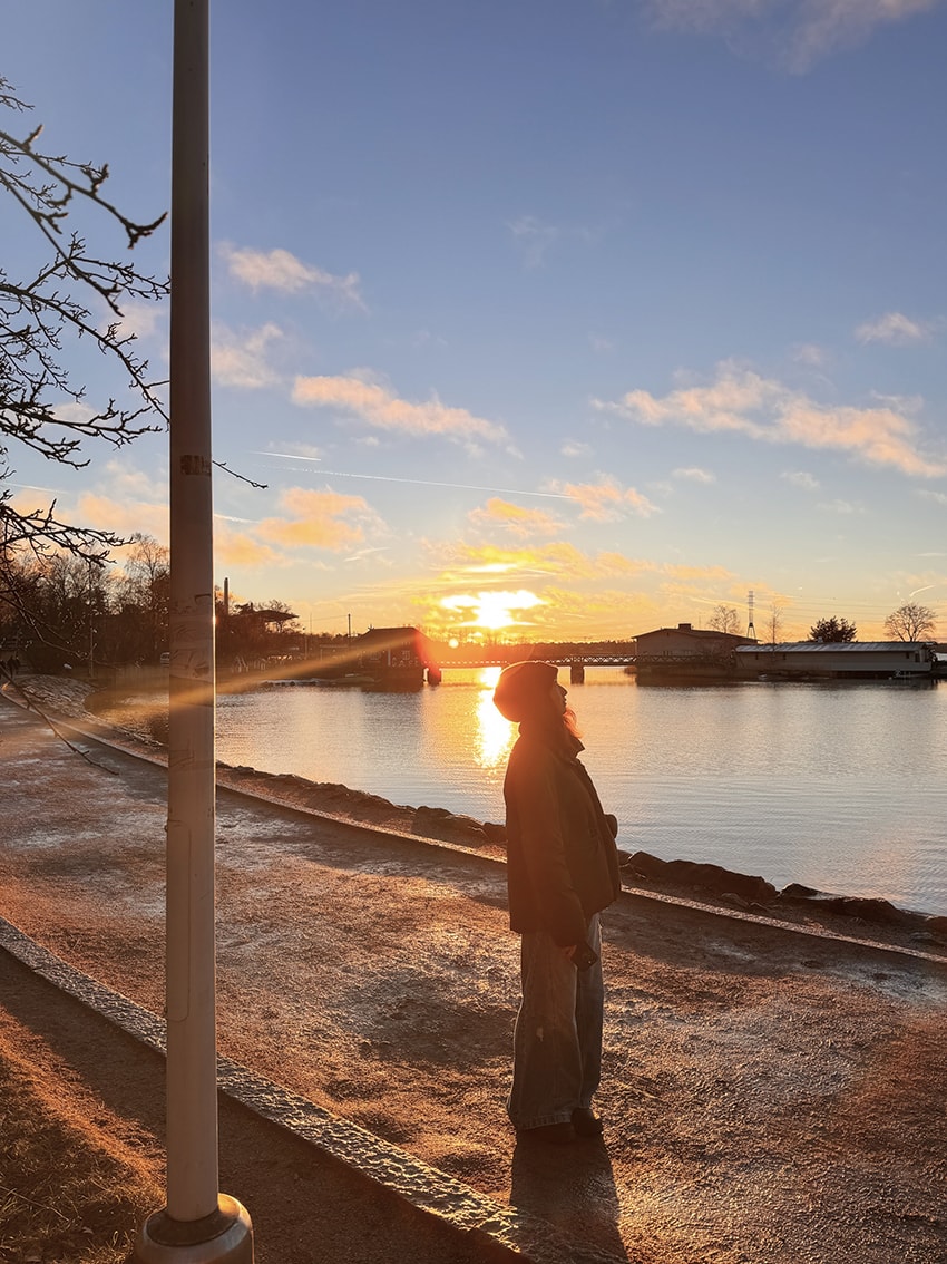 芬蘭赫爾辛基|夕陽下的西貝流士紀念碑,北歐最浪漫的音樂地標 - 第12張圖 芬蘭赫爾辛基|夕陽下的西貝流士紀念碑,北歐最浪漫的音樂地標