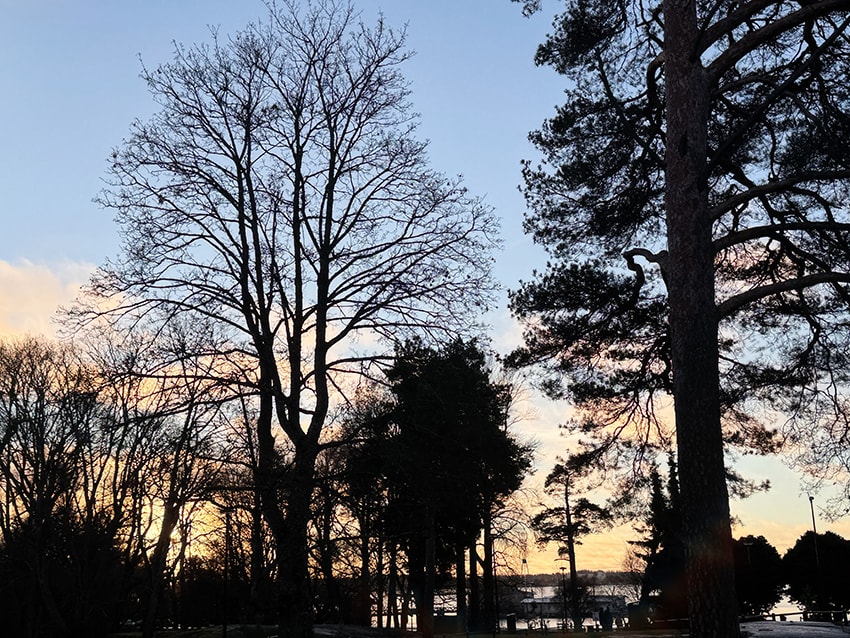 芬蘭赫爾辛基|夕陽下的西貝流士紀念碑,北歐最浪漫的音樂地標 - 第2張圖 芬蘭赫爾辛基|夕陽下的西貝流士紀念碑,北歐最浪漫的音樂地標