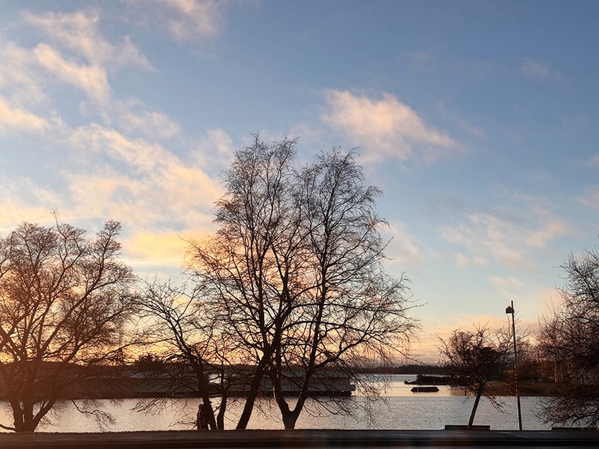 芬蘭赫爾辛基|夕陽下的西貝流士紀念碑,北歐最浪漫的音樂地標 - 第10張圖 芬蘭赫爾辛基|夕陽下的西貝流士紀念碑,北歐最浪漫的音樂地標