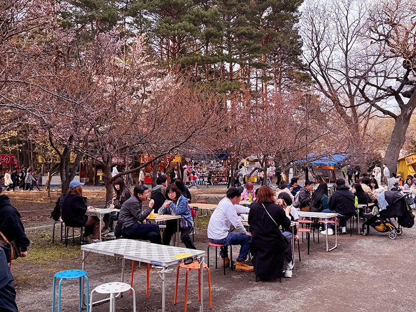 北海道神宮櫻花季|札幌賞櫻景點推薦,櫻花大道與梅花一次收藏 - 第32張圖 北海道神宮櫻花季|札幌賞櫻景點推薦,櫻花大道與梅花一次收藏