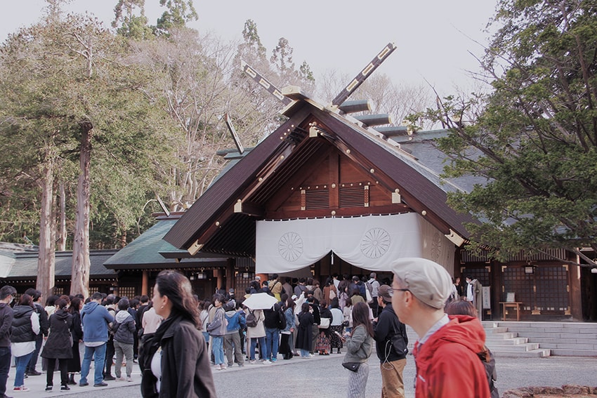 北海道神宮櫻花季|札幌賞櫻景點推薦,櫻花大道與梅花一次收藏 - 第6張圖 北海道神宮櫻花季|札幌賞櫻景點推薦,櫻花大道與梅花一次收藏